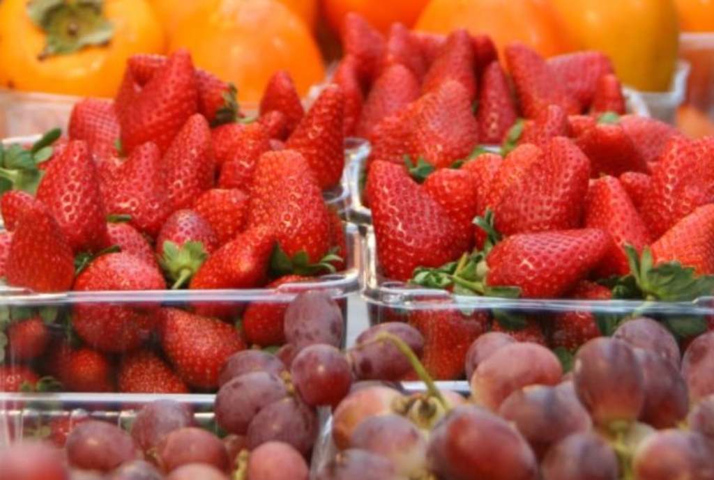 food-surface ozone meat disinfection