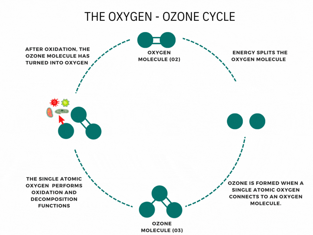 All About Ozone Systems