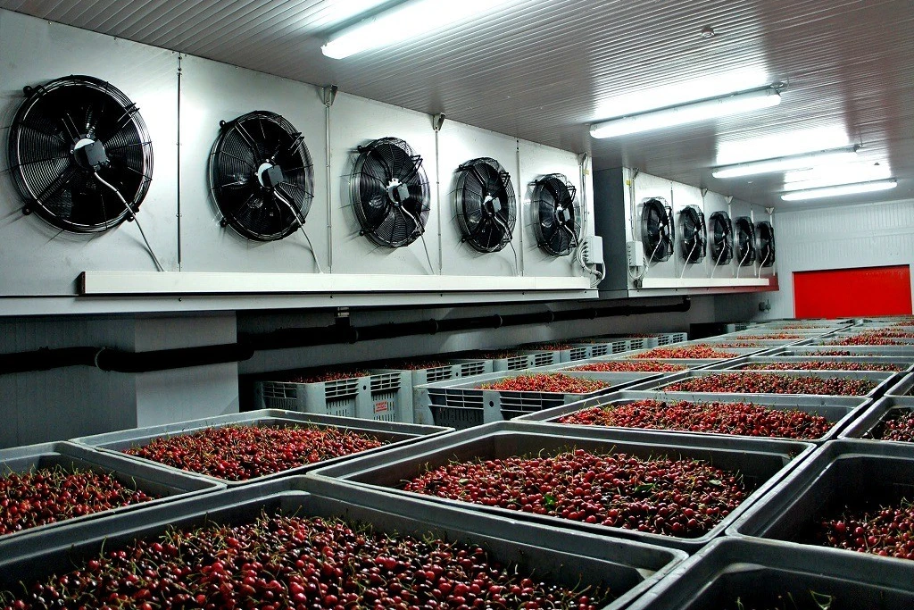 cold ozone meat disinfection