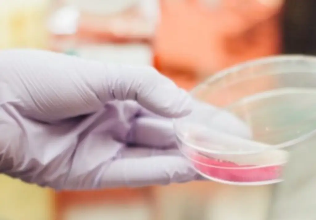 lab-oxidation Ozone Lab Oxidation Systems