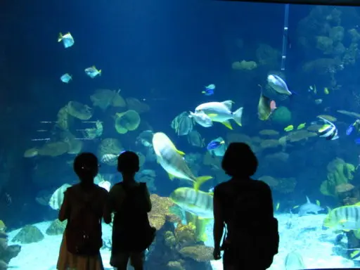 life support Life Support Systems - Aquariums & Zoos