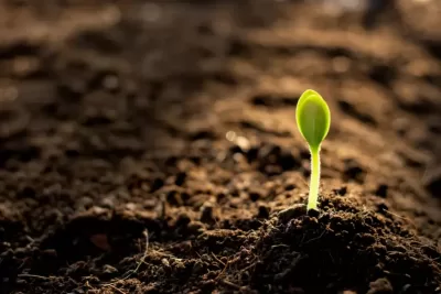 Ozone for soil remediation
