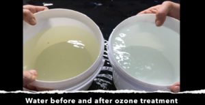 WATER BEFORE AND AFTER OZONE TREATMENT