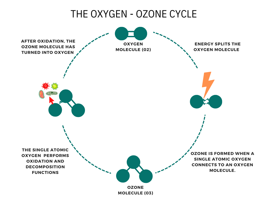 oxygen ozone cycle