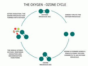 ozone oxygen cycle