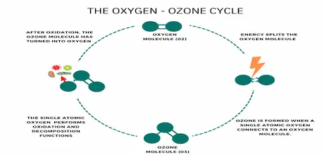 o3 cycle blog