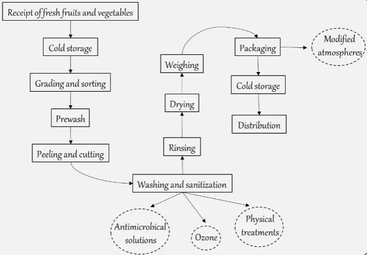 Ozone Technology for improving the safety of fruits and vegetable